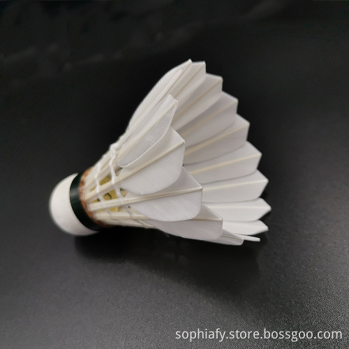 Amateur Training Level Goose Sword Feather Badminton
